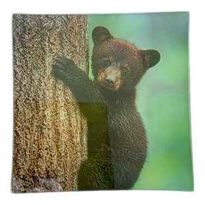 Glass Jewelry Dish, Black Bear Cub, Trinket Tray, Soap, Valet, Lodge 5.75"Sq